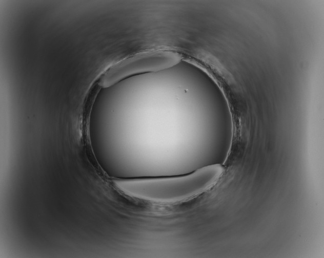 X0000094901165200712061022