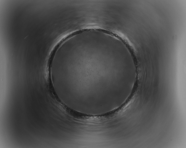 X0000094901167200712061022