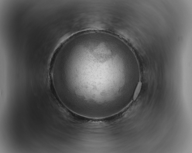 X0000094901168200712061022