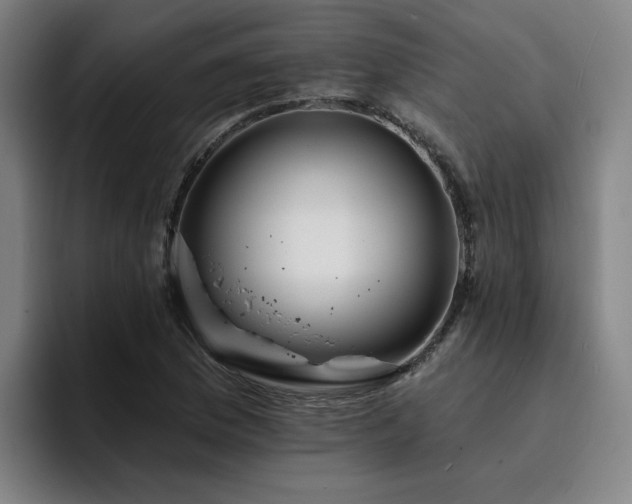 X0000094901169200712061022