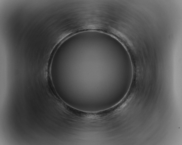 X0000094901170200712061022