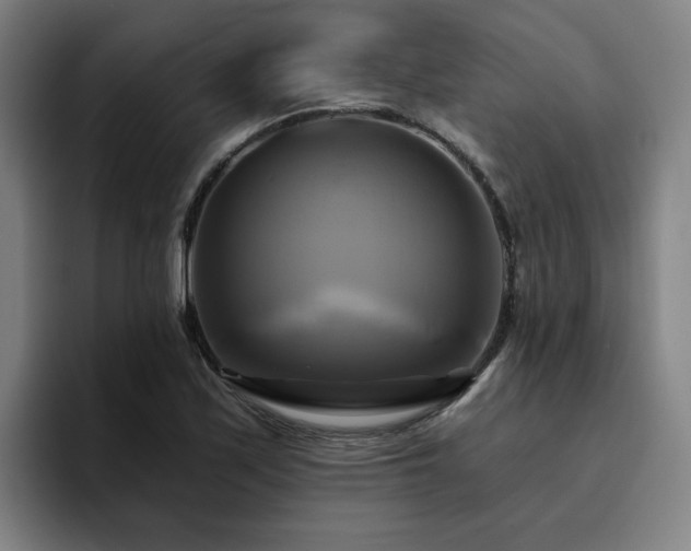 X0000094901171200712061022