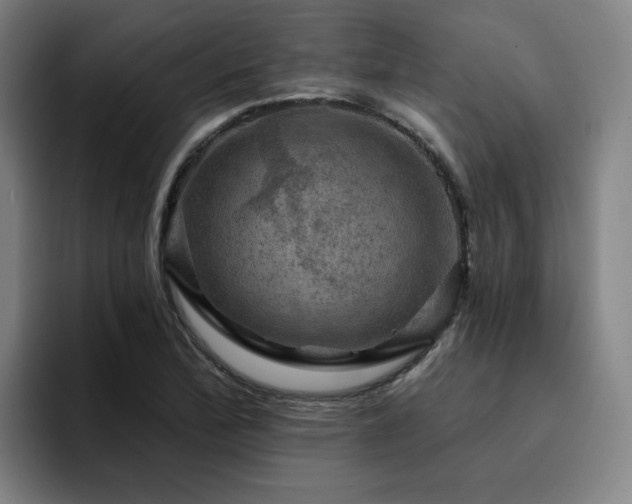 X0000094901172200712061022