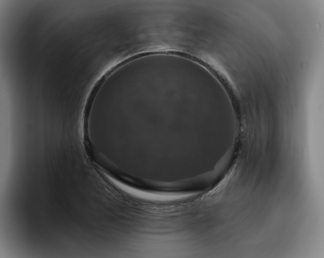 X0000094901173200712061022