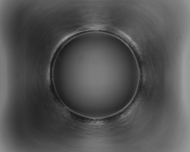 X0000094901174200712061022
