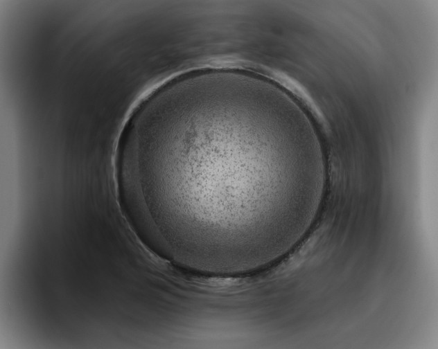 X0000094901176200712061022
