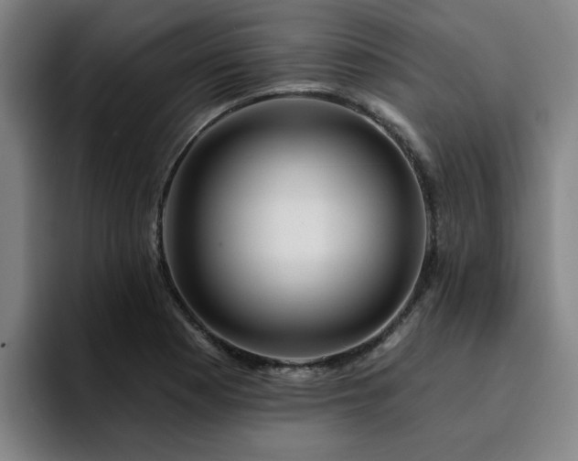 X0000094901177200712061022