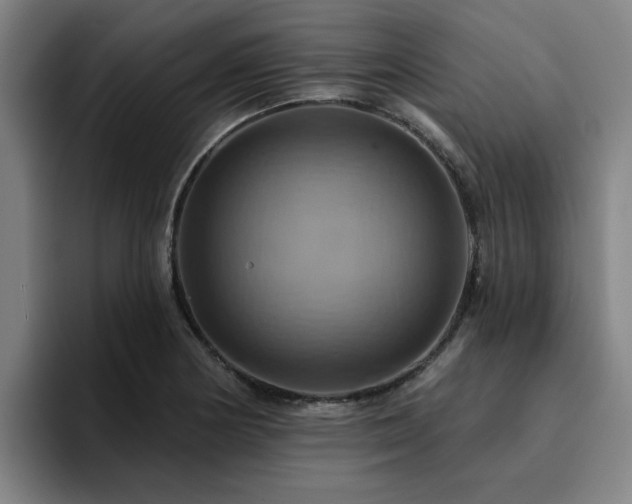 X0000094901178200712061022
