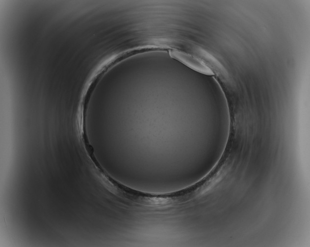 X0000094901180200712061022