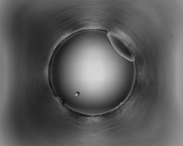 X0000094901181200712061022