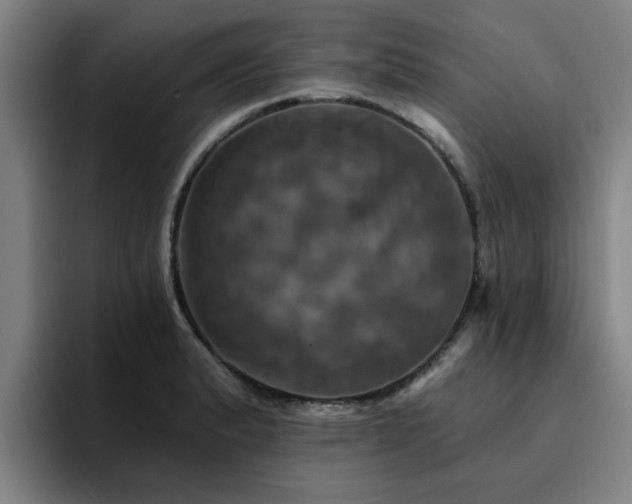 X0000094901183200712061022