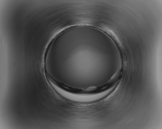 X0000094901184200712061022