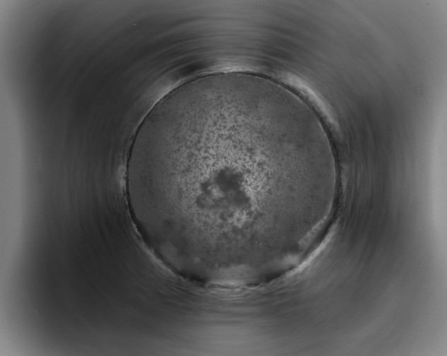X0000094901185200712061022