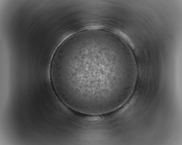 X0000094901186200712061022