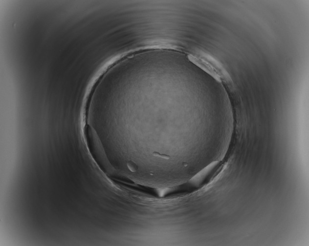 X0000094901188200712061022