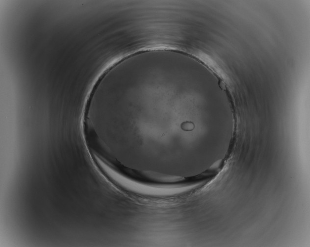 X0000094901189200712061022