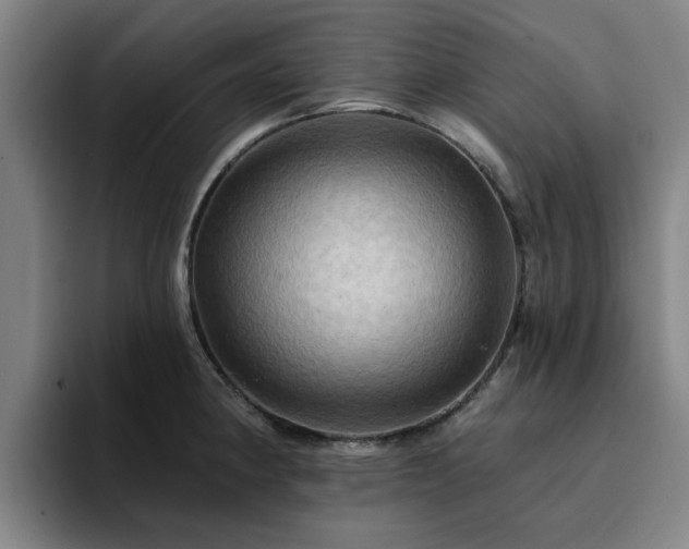 X0000094901190200712061022