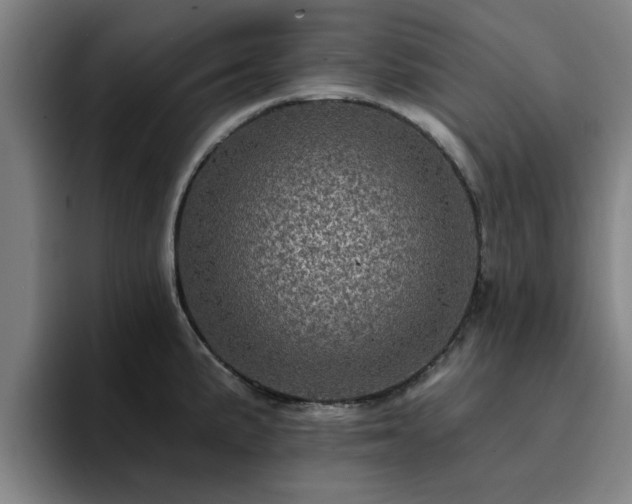 X0000094901191200712061022