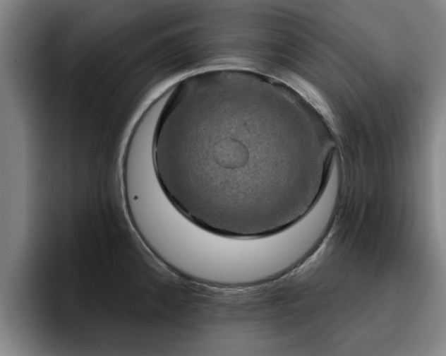 X0000094901192200712061022