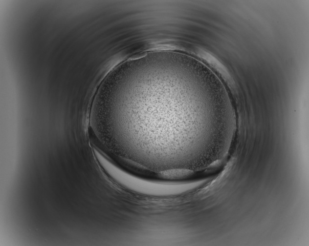 X0000094901193200712061022