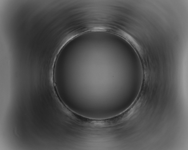 X0000094901194200712061022
