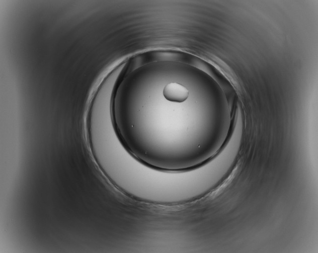 X0000094901196200712061022