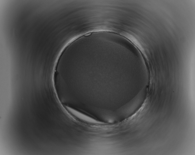 X0000094901197200712061022