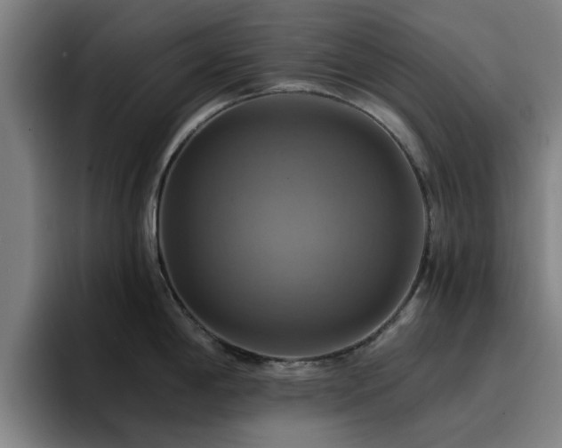 X0000094901198200712061022