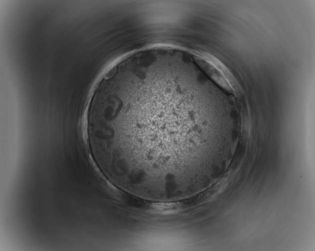 X0000094901199200712061022