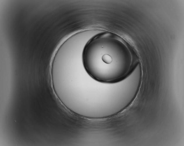 X0000094901200200712061022