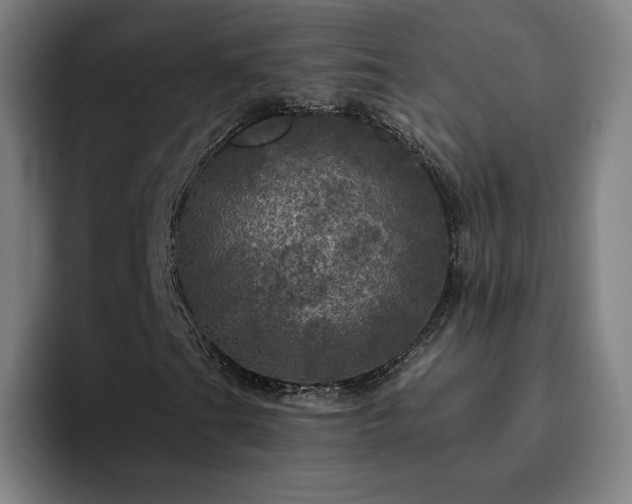 X0000094901201200712061021