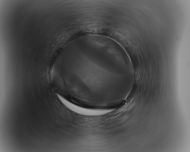 X0000094901202200712061021