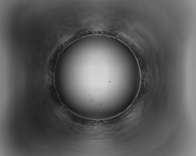 X0000094901207200712061021