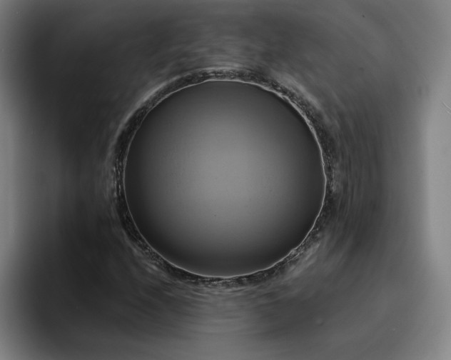 X0000094901208200712061021