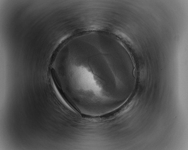 X0000094901210200712061022