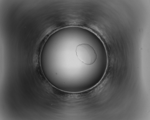 X0000094901211200712061022