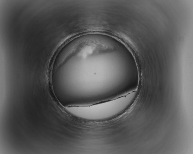X0000094901212200712061022