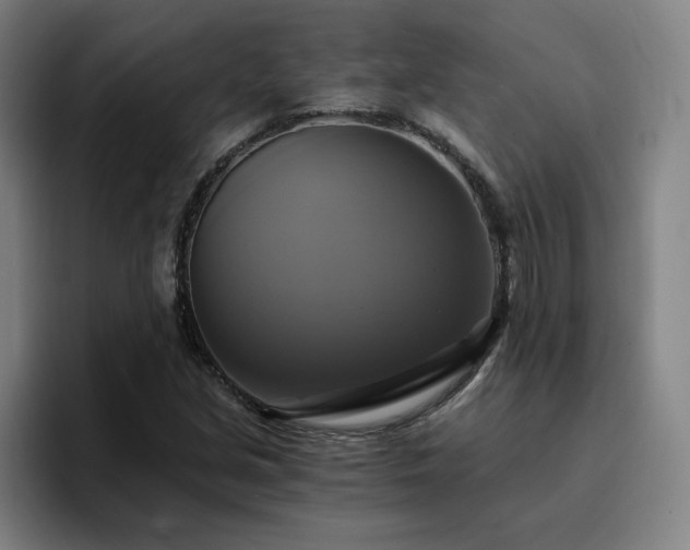 X0000094901213200712061022