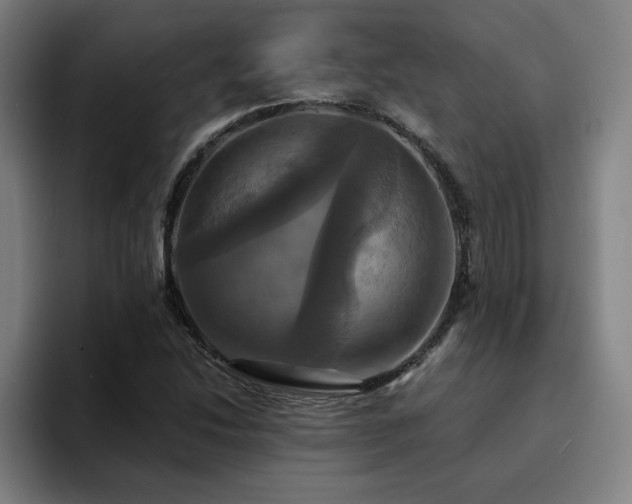X0000094901214200712061022