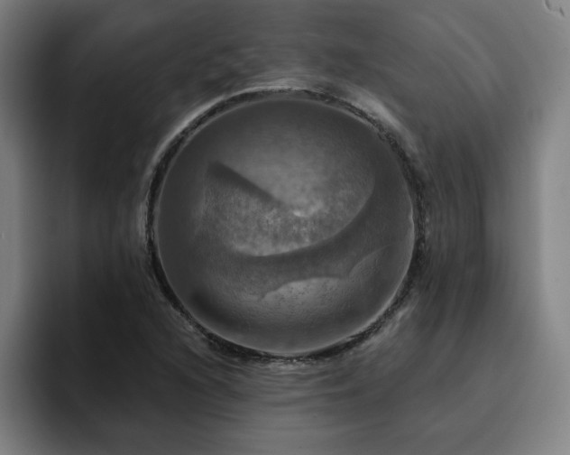 X0000094901216200712061022