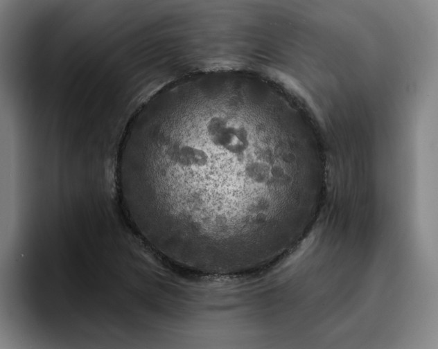 X0000094901217200712061022