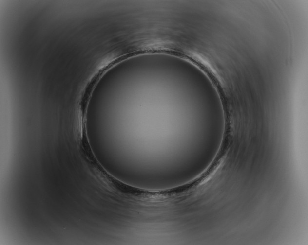 X0000094901219200712061022