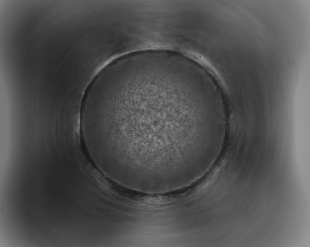 X0000094901220200712061022