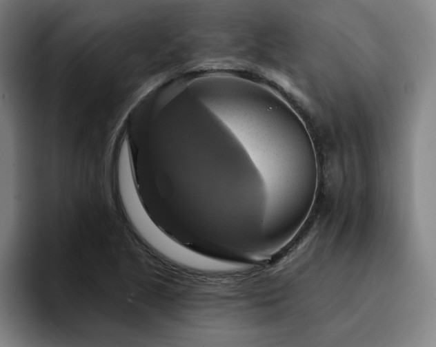 X0000094901221200712061022