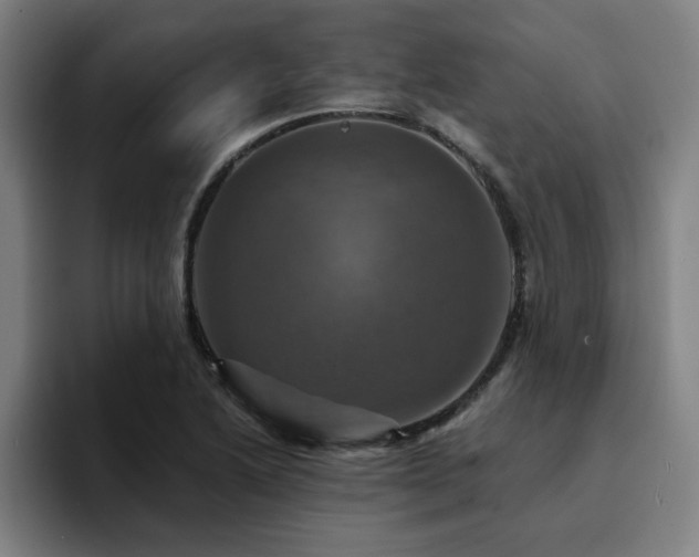 X0000094901222200712061022