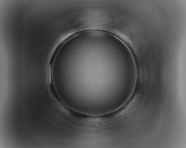 X0000094901223200712061022