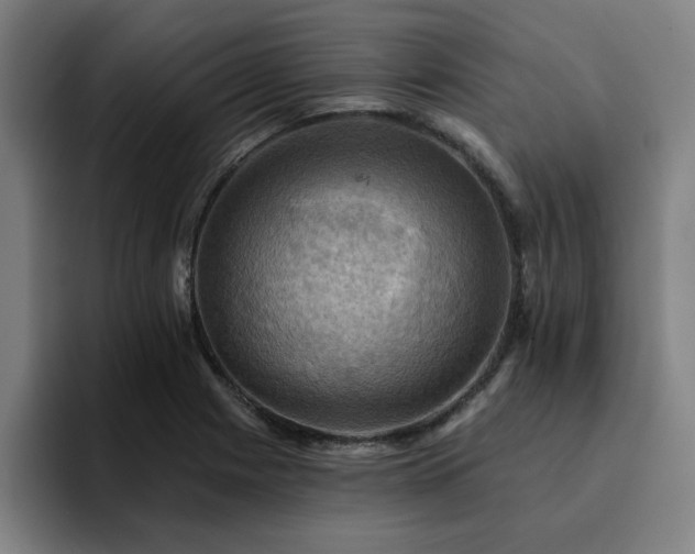 X0000094901225200712061022