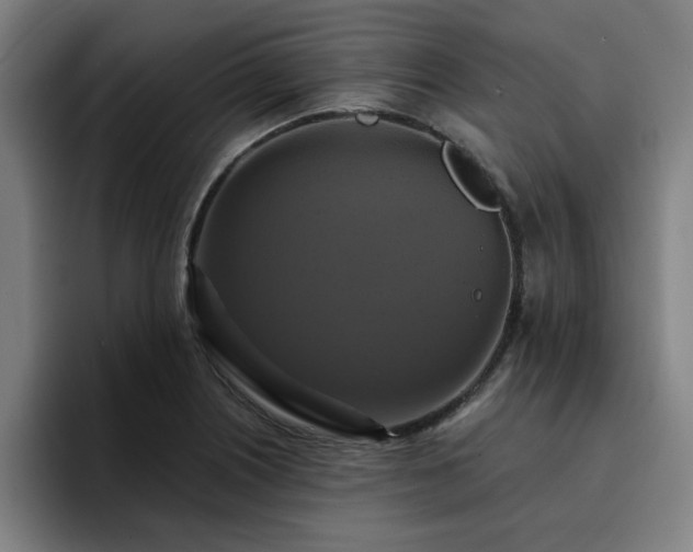 X0000094901226200712061022