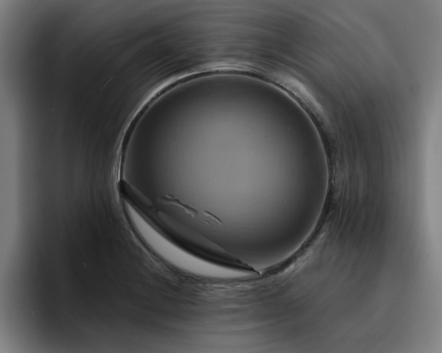 X0000094901228200712061022