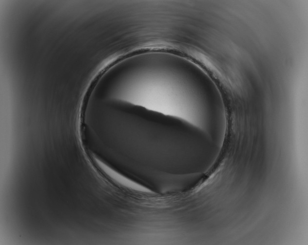 X0000094901229200712061022